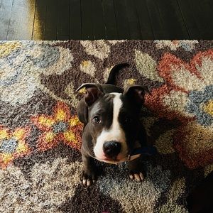 Meet your Posher, Edith